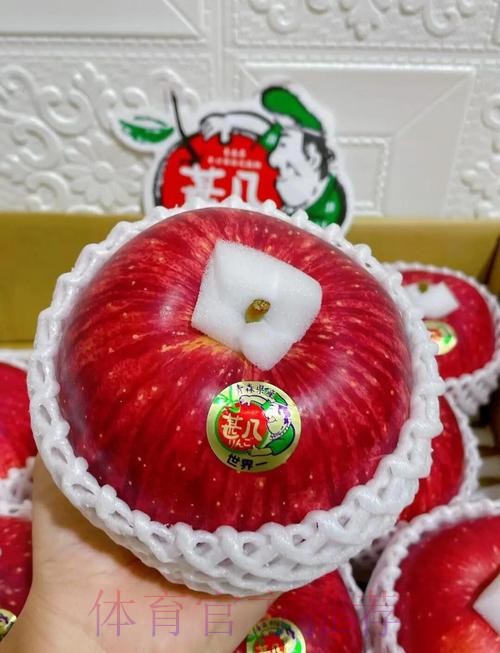 世界杯外围苹果